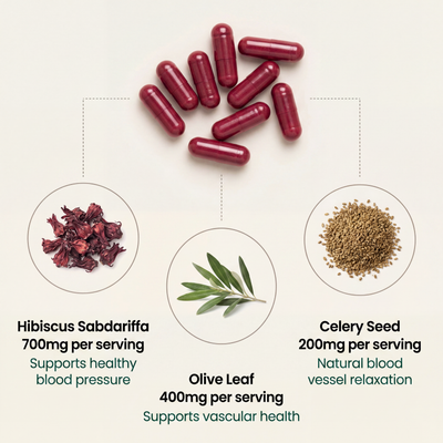 Blood Pressure Support