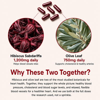 Calhealing Hibiscus & Olive Leaf